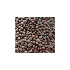 Dal Masoor Desi